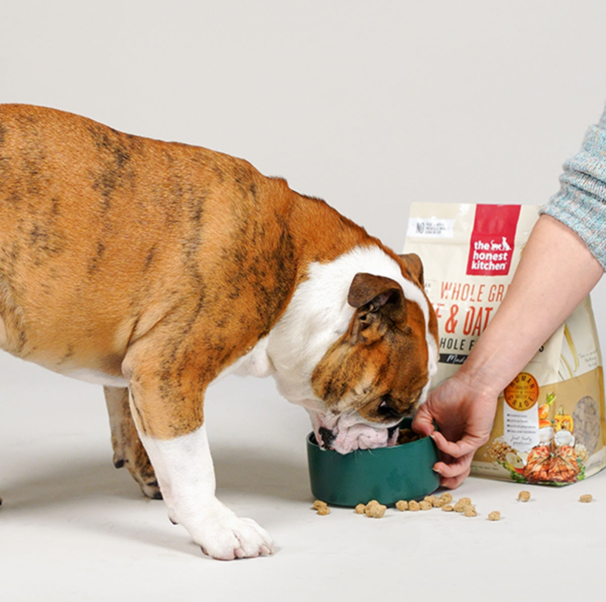 The Honest Kitchen Human Grade Pet Food