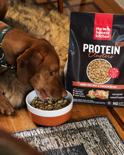 Protein Plus Clusters