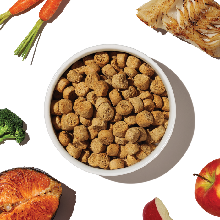 Grain Free Salmon & Whitefish Whole Food Clusters