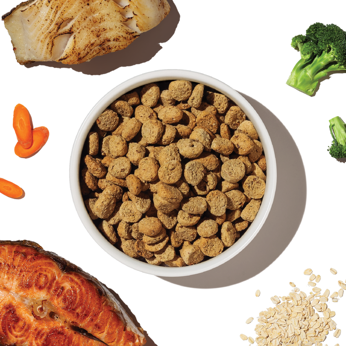 Whole Grain Salmon & Whitefish Whole Food Clusters