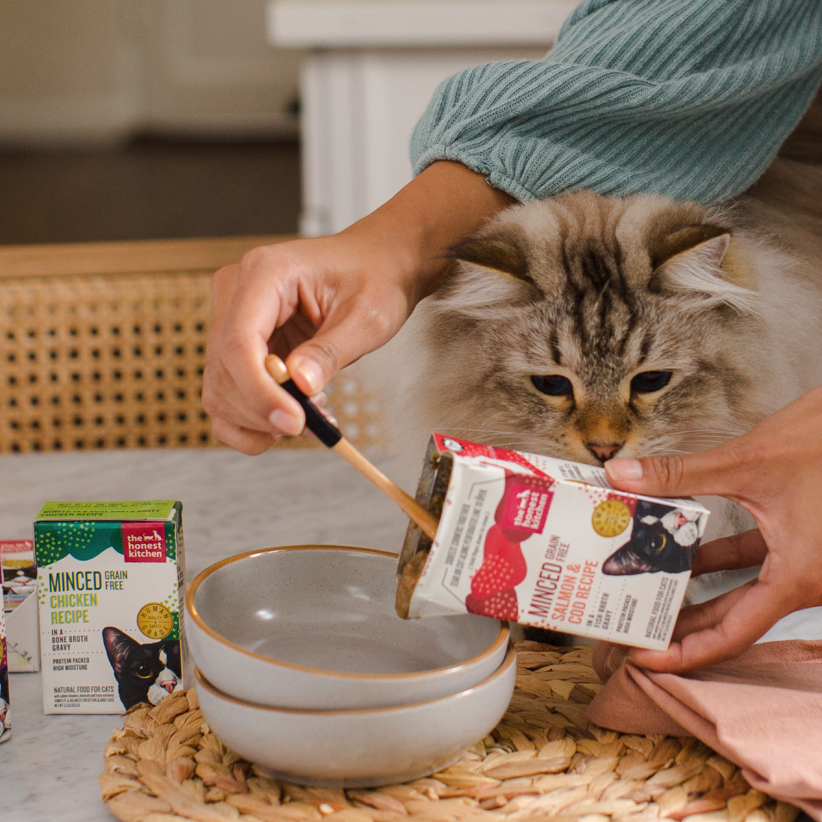 A fluffy tabby cat looks at a box of wet food longingly while their owner scoops it into a bowl. Healthy, high quality, human grade wet cat food from The Honest Kitchen.
