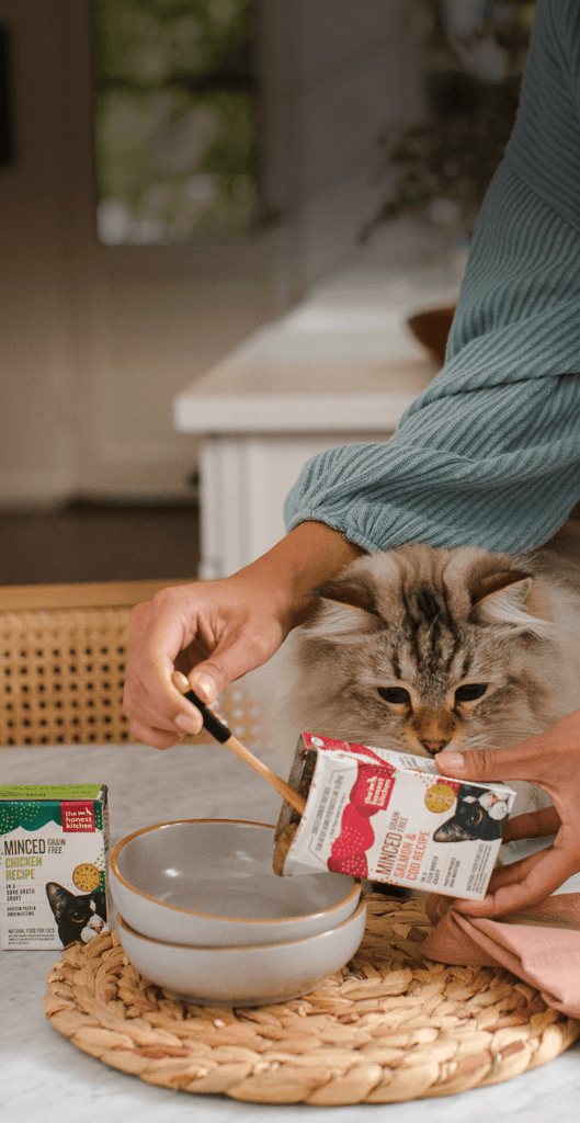 Shop Cat Food and Treats | The Honest Kitchen