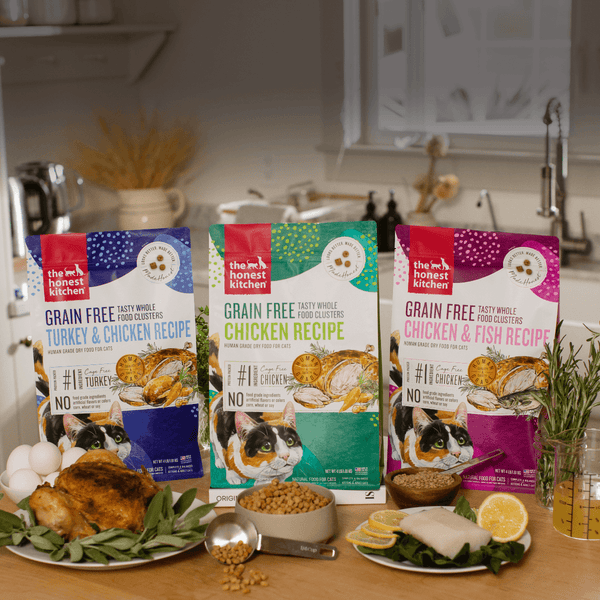 Shop Dry Cat Food Clusters | The Honest Kitchen