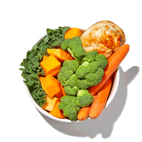 A bowl of real food ingredients -- broccoli, chicken, pumpkin, carrots and kale, being transformed into The Honest Kitchen's Whole Food Clusters to highlight the ingredient quality. Healthy, high quality, human grade dry dog food clusters from The Honest Kitchen.