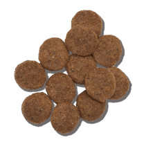 a pile of dark brown kibble. Dry dog food Whole Food Clusters from The Honest Kitchen.