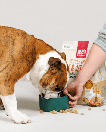 Shop Essential Clusters Dry Dog Food | The Honest Kitchen