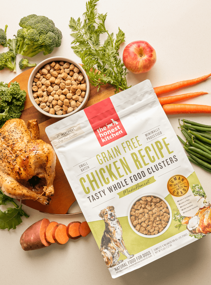 Shop Grain Free Dry Dog Food Clusters | The Honest Kitchen