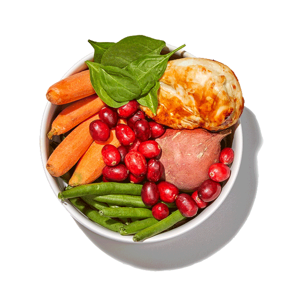 A bowl of real food ingredients like chicken, carrots and green beans, transitioning to The Honest Kitchen's dehydrated food to illustrate the ingredient quality. Healthy, high quality, human grade dehydrated dog food from The Honest Kitchen.