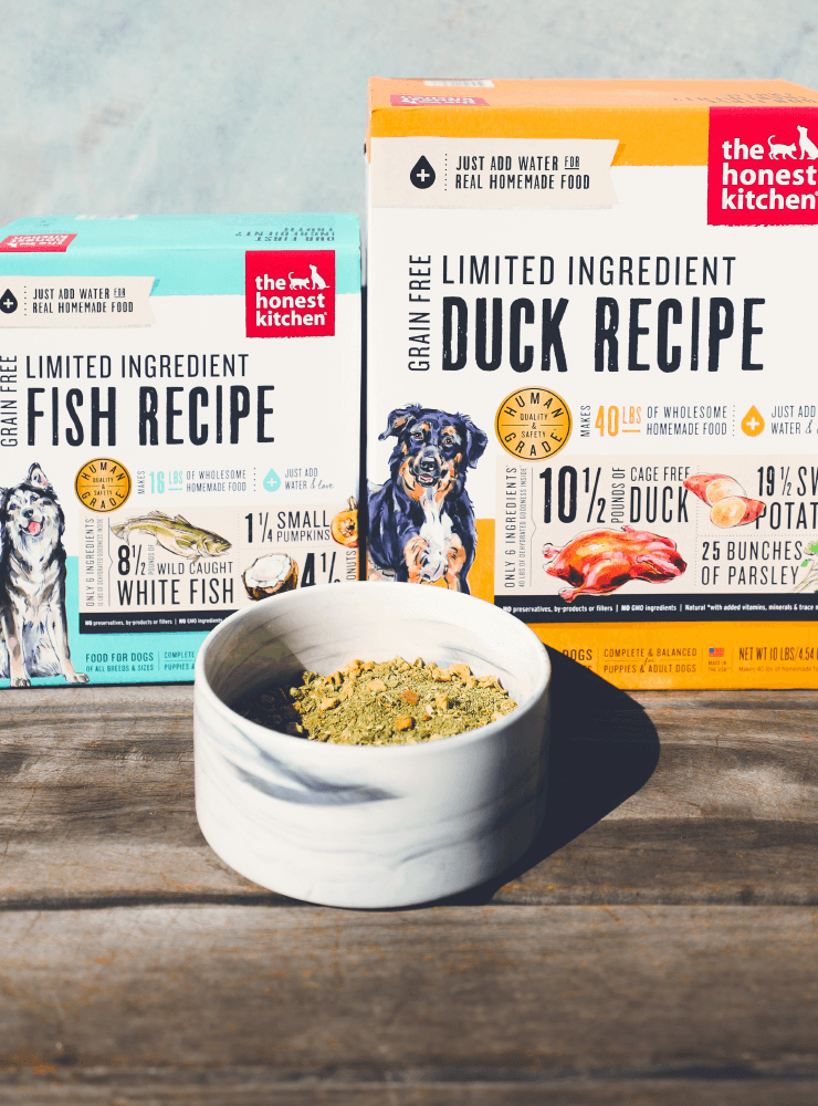 Shop Dog Food, Treats, and Toppers for Allergies | The Honest Kitchen