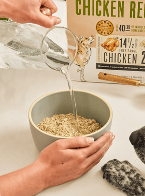 A person pouring water into The Honest Kitchen's dehydrated dog food.