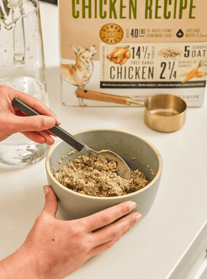 A person mixing dehydrated food in a bowl with a spoon. The Honest Kitchen's Dehydrated Dog Food.