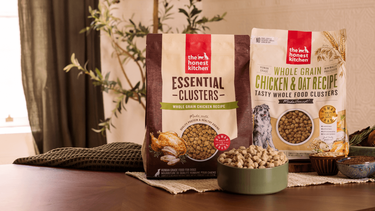 Two packages of 'The Honest Kitchen' pet food on a wooden surface with a plant in the background. Whole Food Clusters Dry Dog Food from The Honest Kitchen. Our Story.