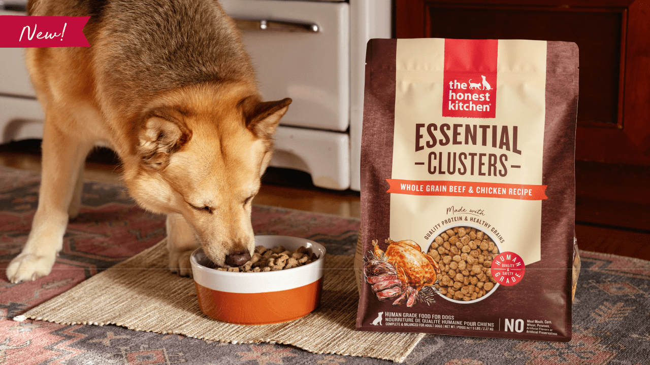 Dog eating from a bowl of food next to a bag of 'The Honest Kitchen' Essential Clusters dog food. Shop healthy, high quality, human grade dry dog food Essential Clusters from The Honest Kitchen.