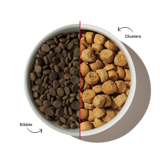 Comparison of kibble and clusters in a bowl. Shop healthy, high quality, human grade dry dog food Essential Clusters from The Honest Kitchen
