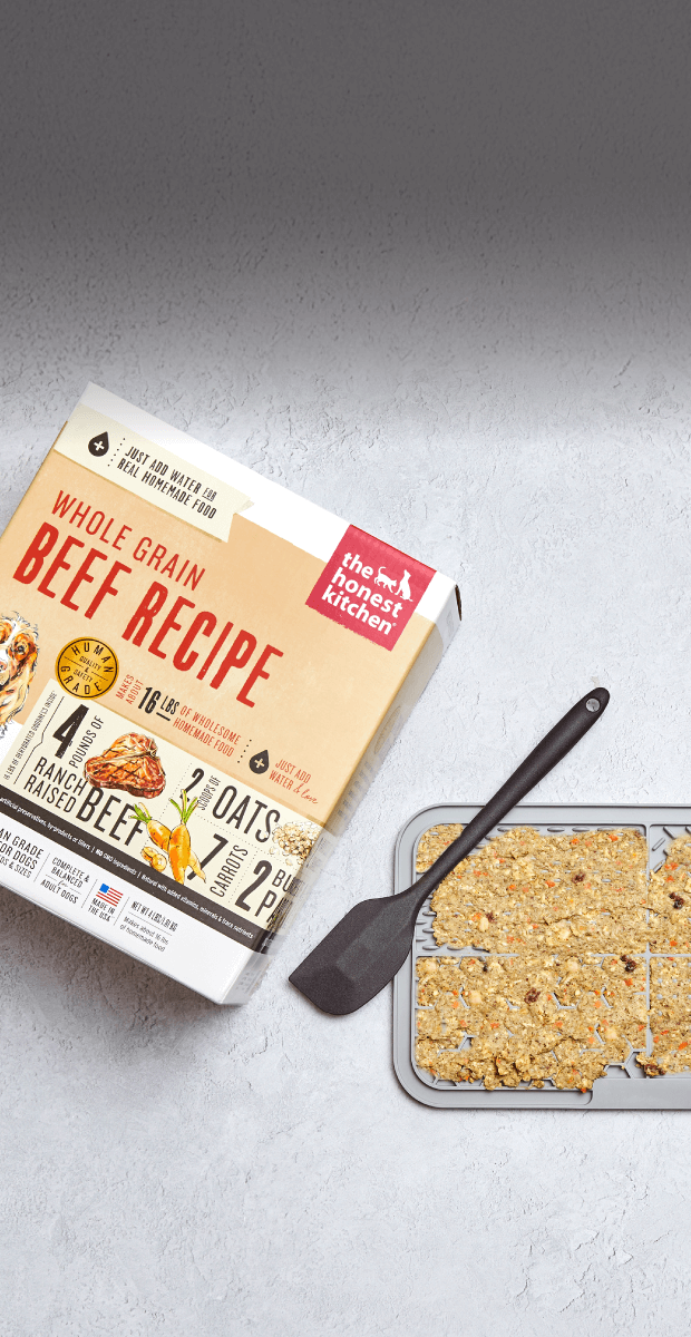 Grain Free Beef Dehydrated Dog Food – The Honest Kitchen