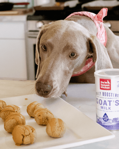 Make-Your-Own Creations