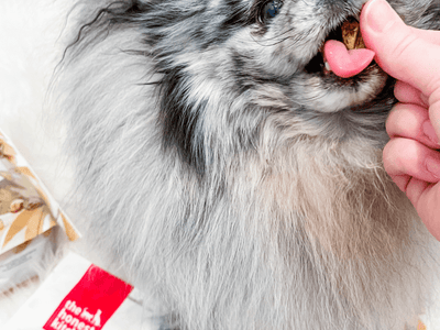 Crunchy Treats