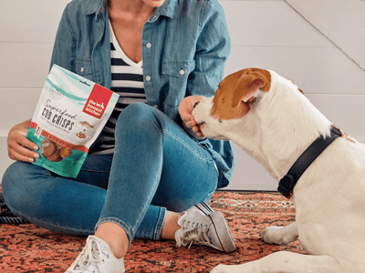 Pet Tips & Training