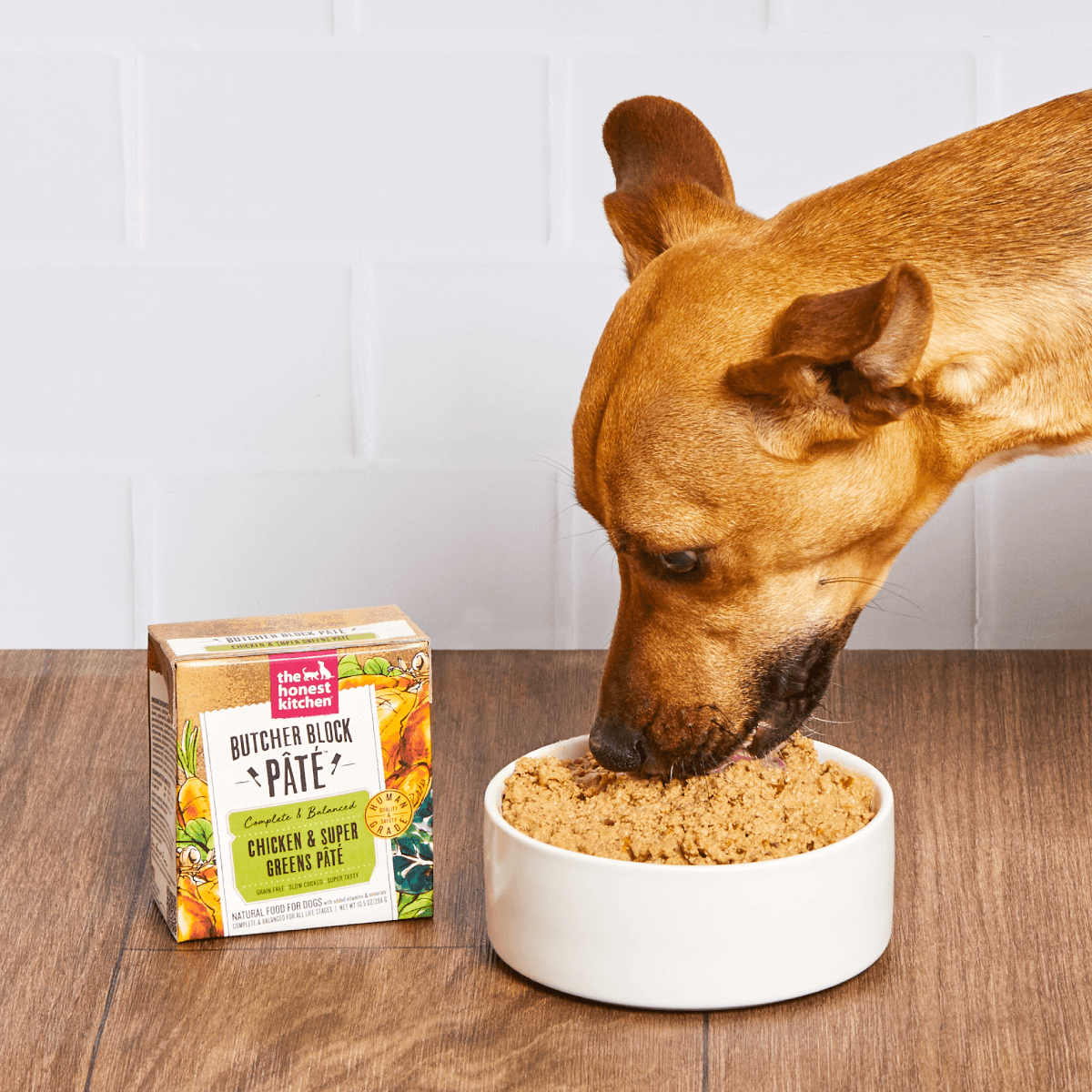 A small brown dog happily eats a bowl of The Hoenst Kitchen's butcher block pâté wet dog food.