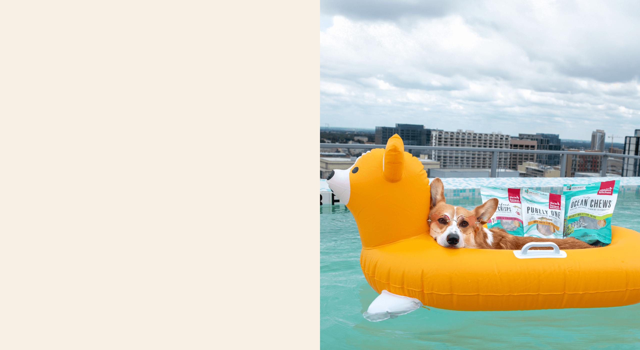 Dog on a yellow inflatable duck float in a pool with a city skyline in the background. Healthy, high quality, human grade dog and cat food from The Honest Kitchen.
