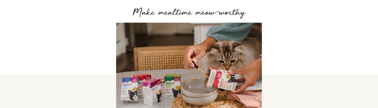 make mealtime meow-worthy