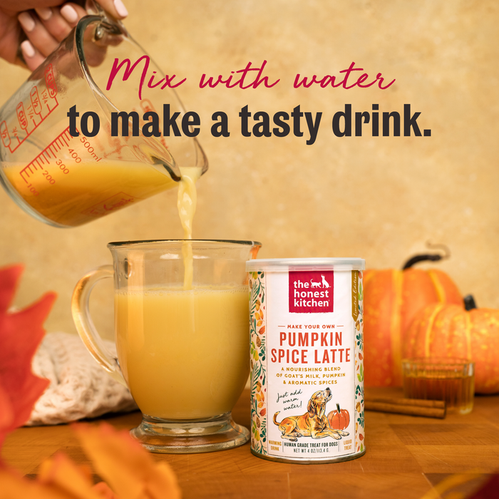 Pumpkin Spice Latte Dog Hydration Supplement from The Honest Kitchen