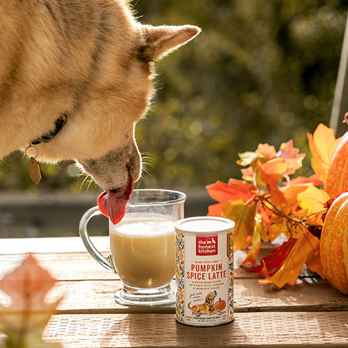 The Honest Kitchen Pumpkin Spice Latte Dog Supplement