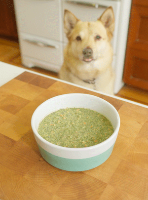 Dog licking their lips waiting for a bowl of Wholemade dehydrated dog food from The Honest Kitchen