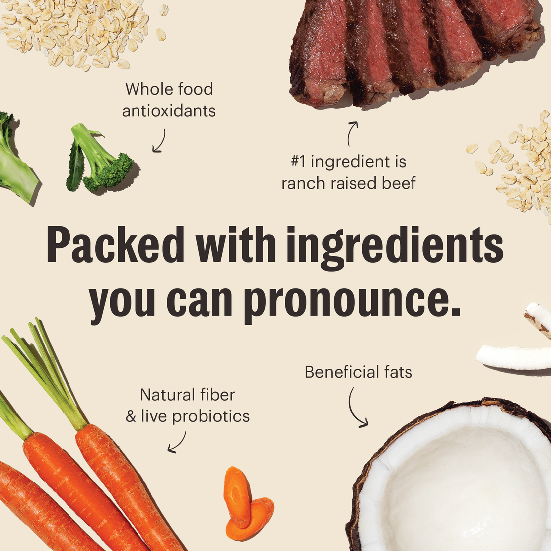 Whole Grain Beef & Oat Whole Food Clusters