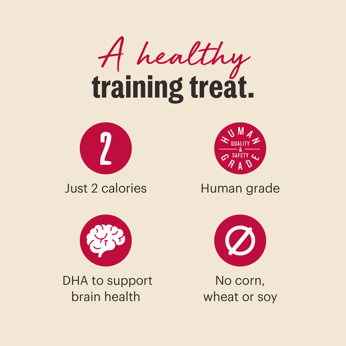 Meaty Littles Low Calorie Dog Training Treat from The Honest Kitchen