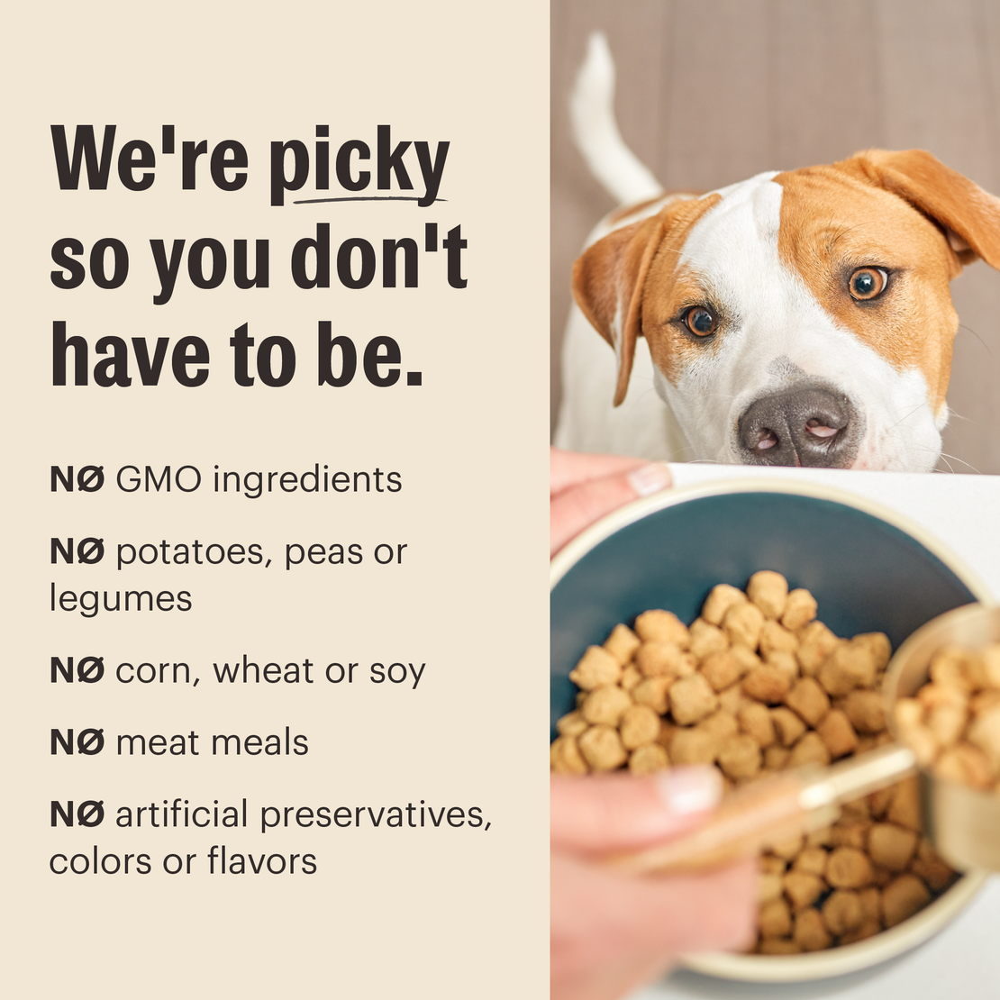 Whole Grain Chicken Whole Food Clusters for Small Breeds