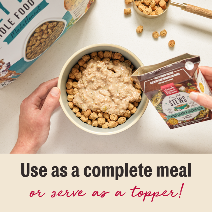 Human Grade Wet Dog Food from The Honest Kitchen
