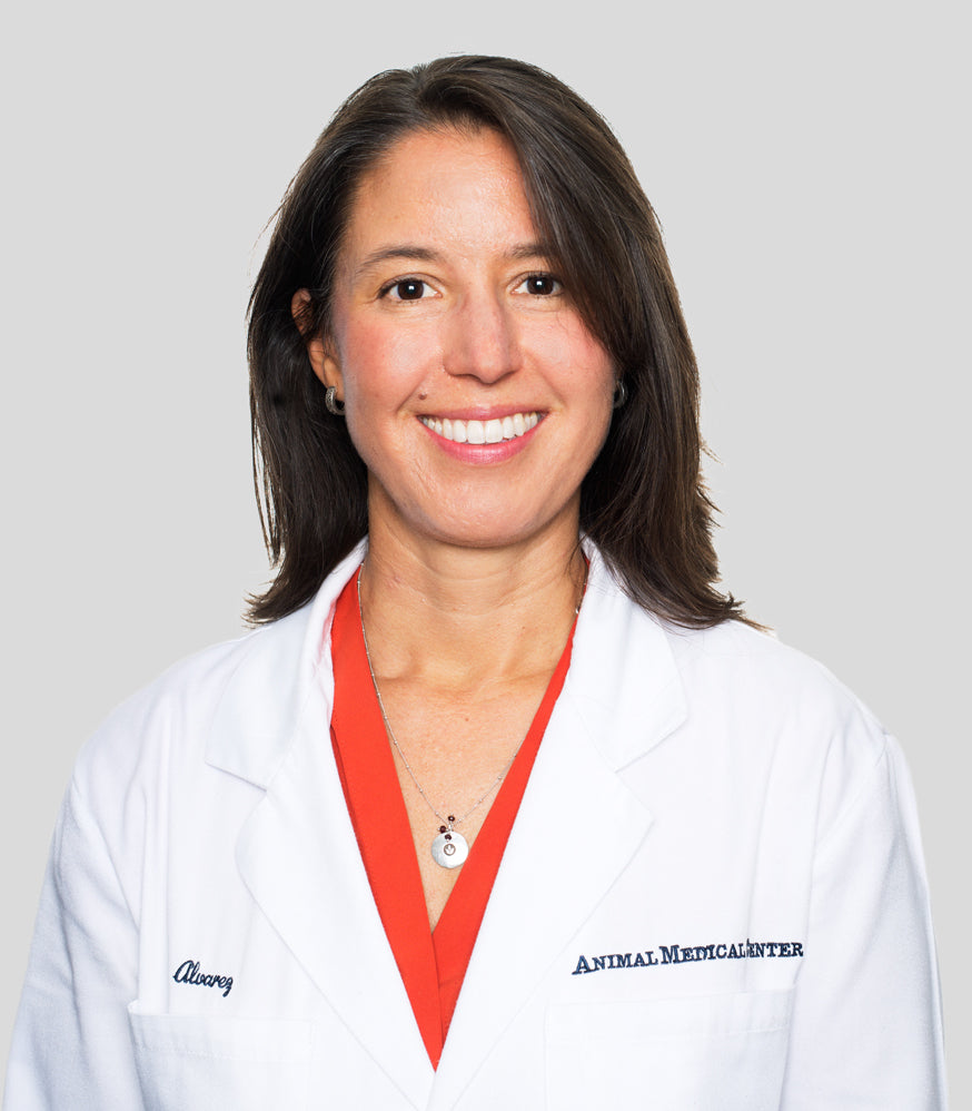 Dr. Leilani Alvarez, Veterinarian Headshot. Healthy, high quality, human grade food for dogs and cats.