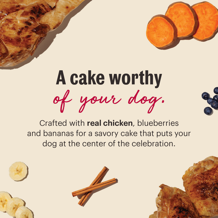 A cake worthy of your dog. Crafted with real chicken, blueberries and bananas. | Human Grade Baking Mixes for Dogs Birthday Cake