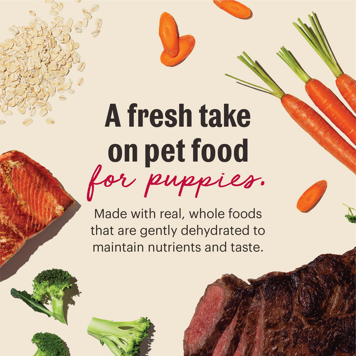 A fresh take on pet food for puppies. Image highlights whole food ingredients used in the recipe.&nbsp;Whole Grain Beef Dehydrated Puppy Dog Food from The Honest Kitchen