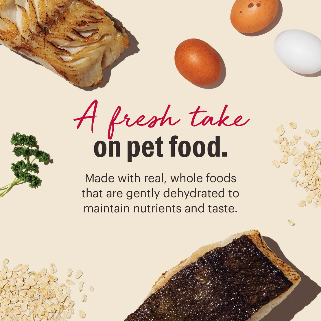 Dehydrated Whole Grain Fish & Oat