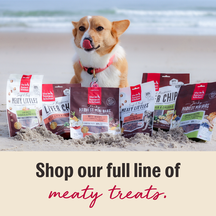 Meaty Dog Treats from The Honest Kitchen