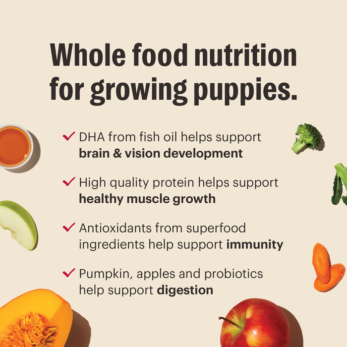 Whole Food Nutrition for Overall Wellness - Wholefoods Provide Benefits to Brain &amp; Vision Development, Healthy Muscle Growth, Immunity and Digestion. | The Honest Kitchen's Whole Food Clusters for Puppies Human Grade Dry Dog Food