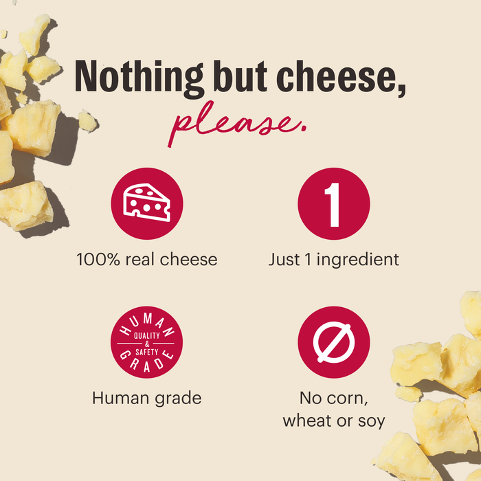 Nothing but cheese, please. 100% real cheese, just 1 ingredient, human grade, no corn, wheat or soy. | The Honest Kitchen's Crunchy Cheese Bites Gouda Cheese Human Grade Dog Treat