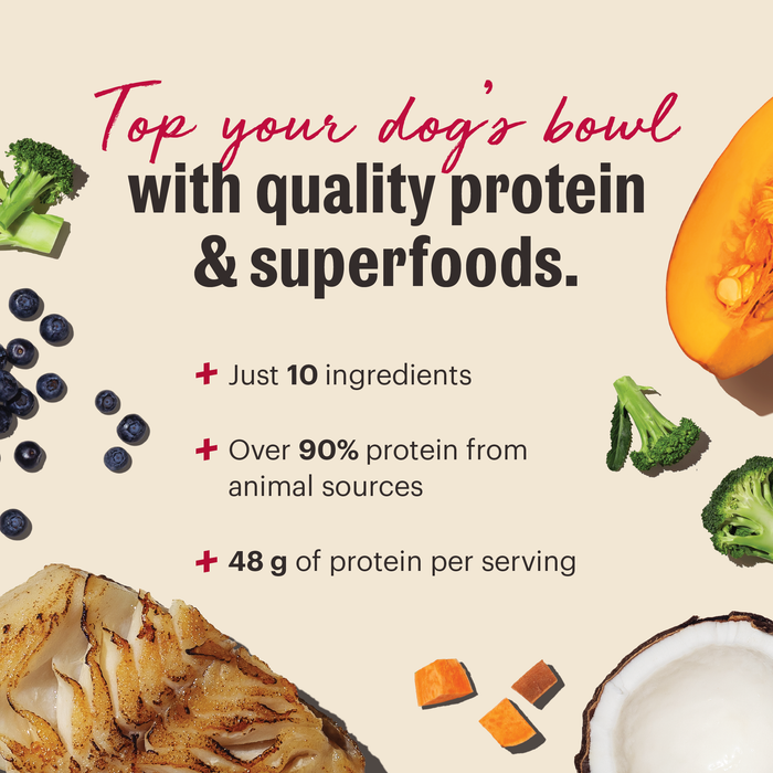 The Honest Kitchen Protein Plus Dry Dog Food and Toppers | Top your dog's bowl with quality protein and superfoods. Just 10 ingredients, over 90% animal from protein sources, 48g of protein per serving