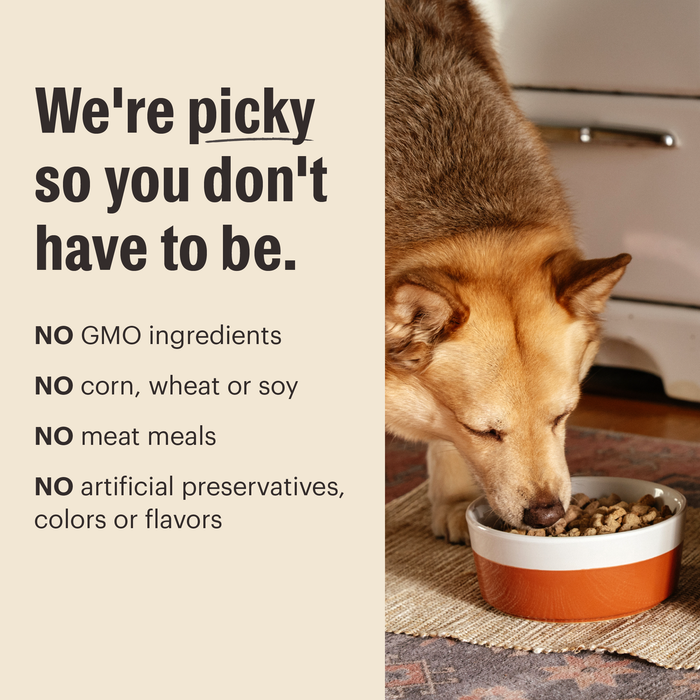 We're Picky So You Don't Have to Be. No GMO Ingredients, Corn, Wheat, Soy, Meat Meals, Artificial Preservatives, Colors or Flavors. | The Honest Kitchen Protein Plus Clusters High Protein Human Grade Dry Dog Food