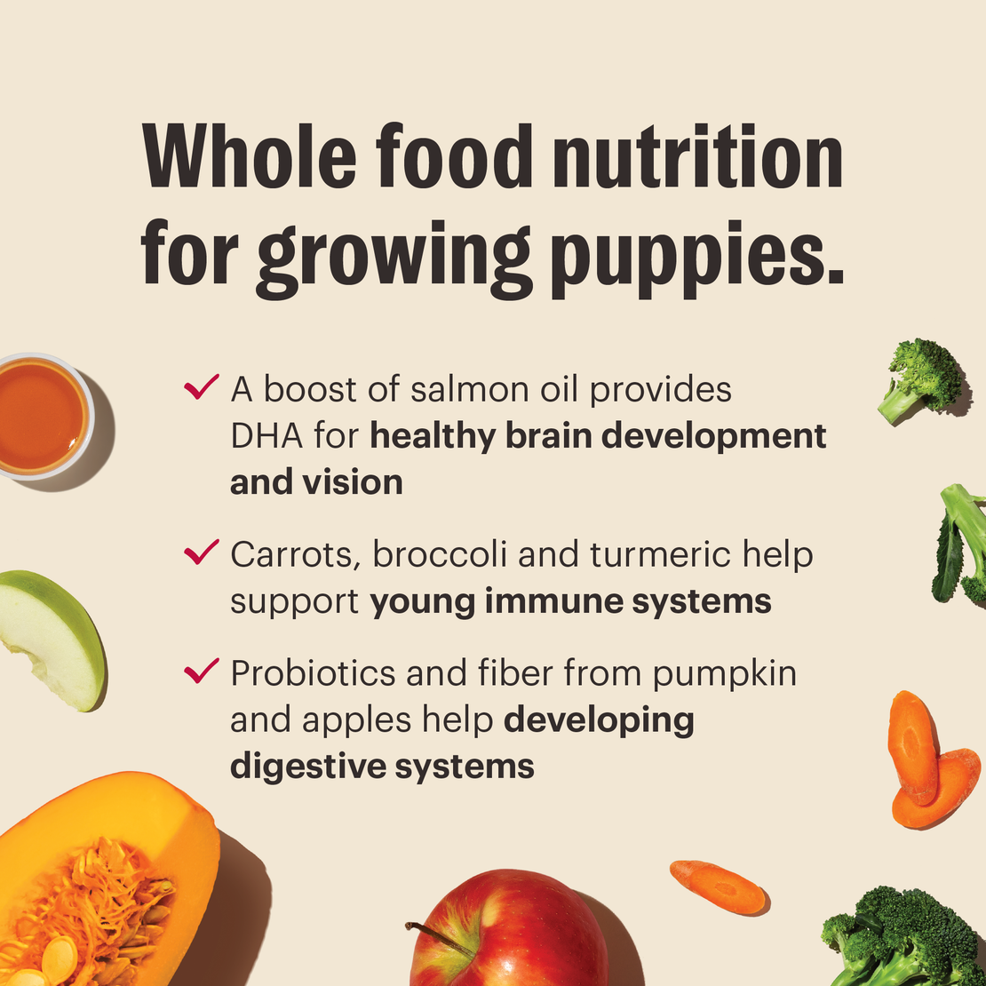 Grain Free Chicken Whole Food Clusters for Puppies