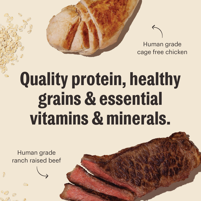 Whole Grain Beef &amp; Chicken Essential Clusters Dry Dog Food from The Honest Kitchen