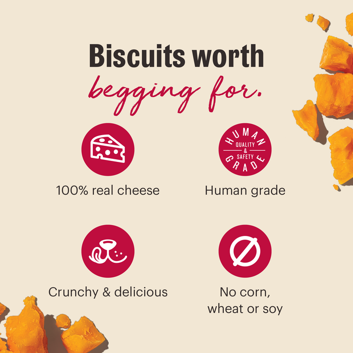 Biscuits worth begging for. 100% real cheese. Human grade. Crunchy & delicious. No corn, wheat or soy. | The Honest Kitchen's Cheddar Biscuits Human Grade Dog Treats