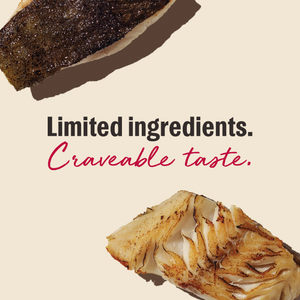 Smittens White Fish Cat Treats