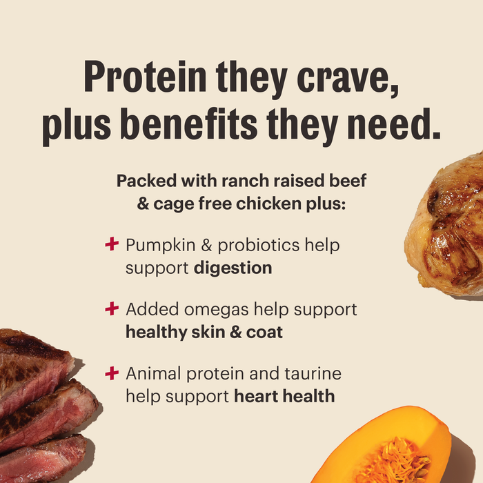 Protein they crave, plus benefits they need. Packed with protein plus foods to support digestion, healthy skin &amp; coat and heart health. | The Honest Kitchen's Protein Plus Clusters High Protein Human Grade Dry Dog Food.