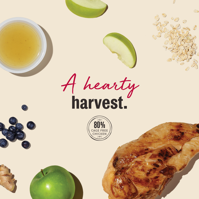 Jerky Harvest Mini Bars Meaty Dog Treats from The Honest Kitchen