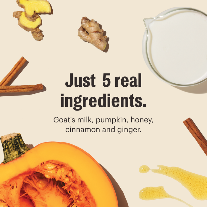 Pumpkin Spice Latte Dog Hydration Supplement from The Honest Kitchen