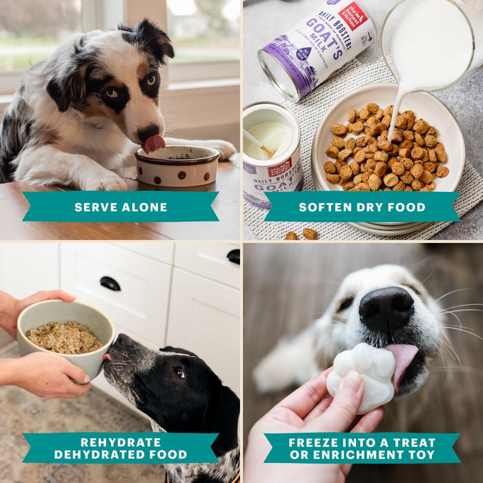 Supplements and Hydration for Dogs and Cats