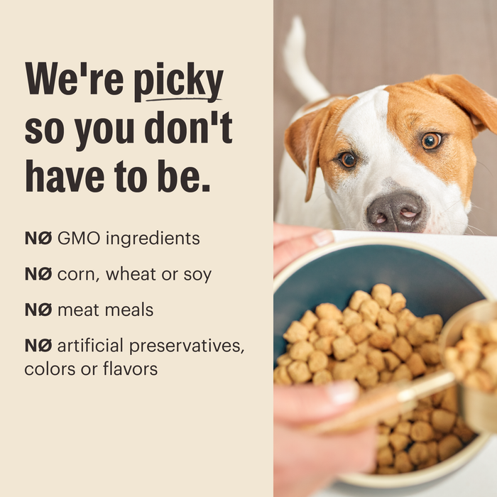 Grain Free Whole Food Clusters Dry Dog Food from The Honest Kitchen